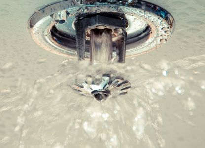 Fire sprinkler